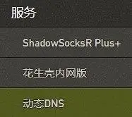 OpenWrt_OpenWrt DDNS客户端设置_注册dynv6 DDNS服务