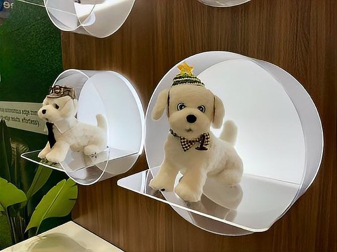 智能家居服务机器人 科沃斯八界 家庭服务管家机器人 毛团儿具身智能 机器人全场景服务 产业链布局_OpenClaw服务机器人